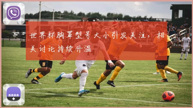 世界杯胸罩型号大小引发关注，相关讨论持续升温