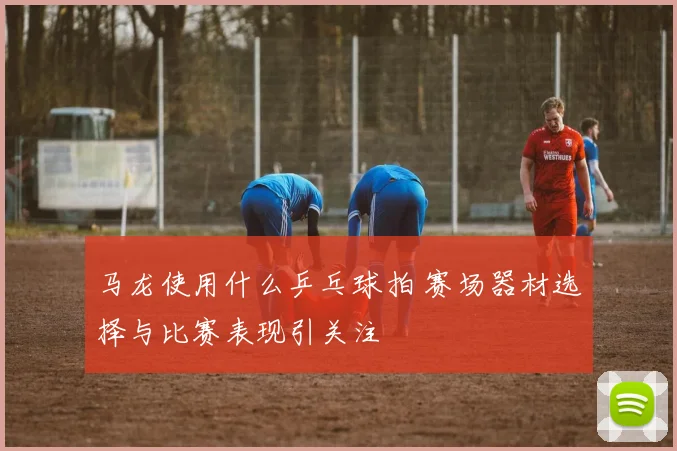 马龙使用什么乒乓球拍 赛场器材选择与比赛表现引关注