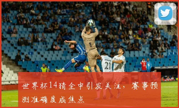 世界杯14猜全中引发关注，赛事预测准确度成焦点