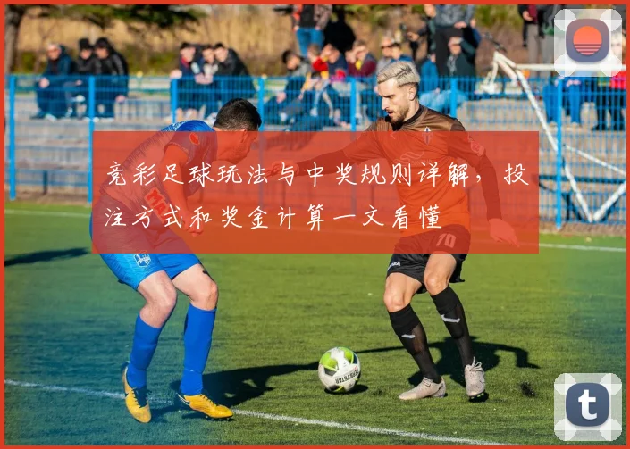 竞彩足球玩法与中奖规则详解，投注方式和奖金计算一文看懂