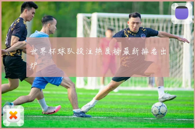 世界杯球队投注热度榜最新排名出炉