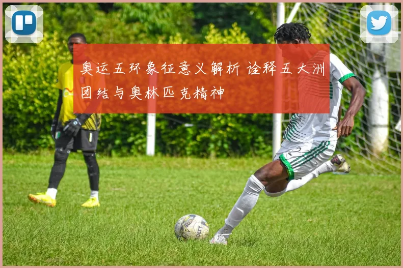 奥运五环象征意义解析 诠释五大洲团结与奥林匹克精神