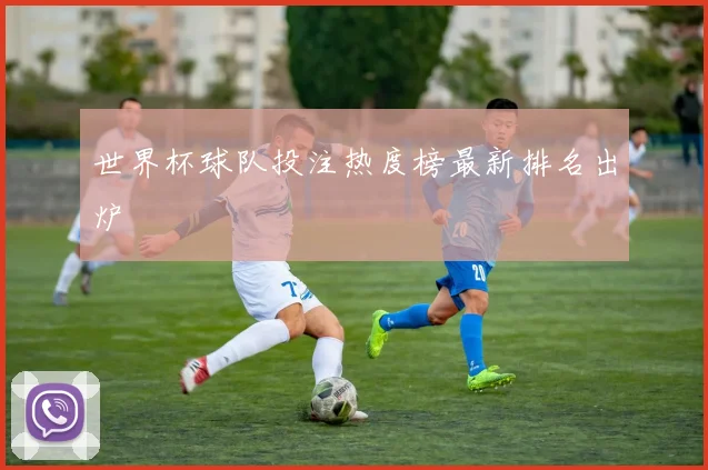 世界杯球队投注热度榜最新排名出炉