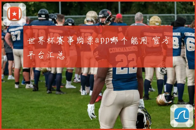 世界杯赛事购票app哪个能用 官方平台汇总