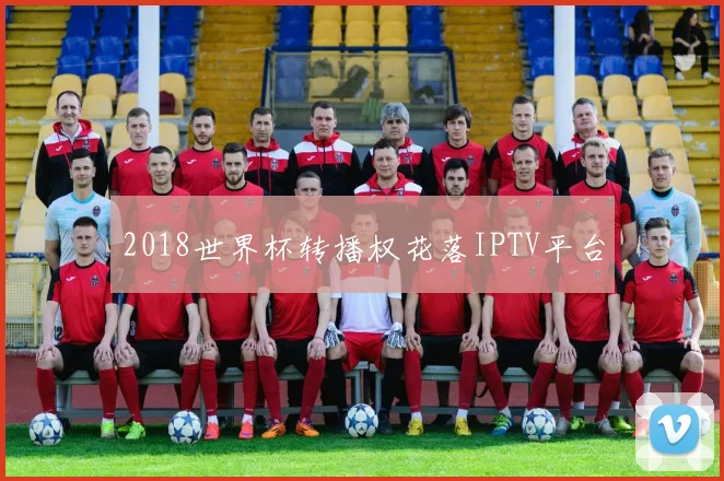 2018世界杯转播权花落IPTV平台